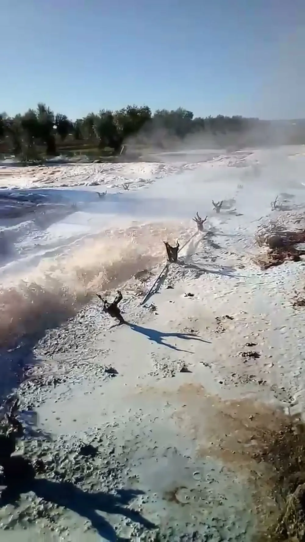 Agua del sondeo corriendo entre olivos